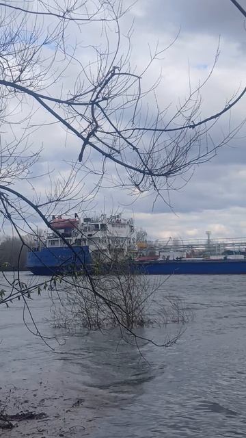 1000016005.mp4Волга.24.04.2026г.