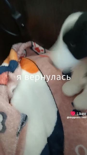 давно меня не было может в пдб??