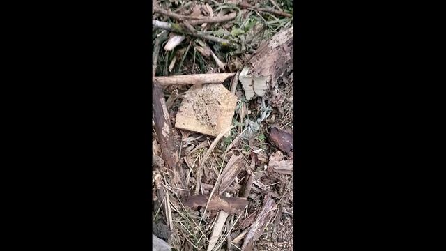 ч. 3 Дальняк в 5700км. на мопеде. лето 2024