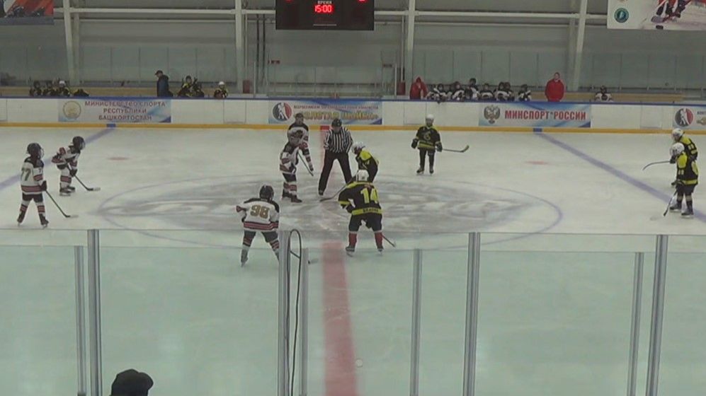 Лесные пчёлы - Атлант 24042026