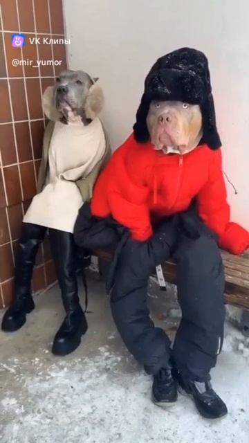 подписывайтесь на мой канал,ставьте лайки 👍