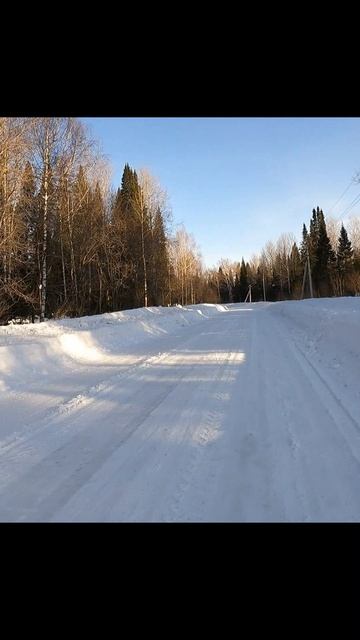 Зимний диалог с лосем