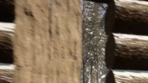 переехали в Sons of the Forest | ч8