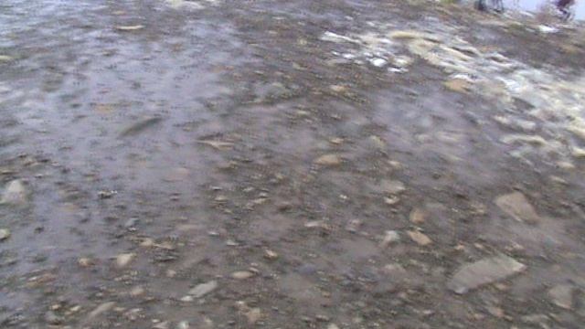 196)й РОЗА ХУТОР