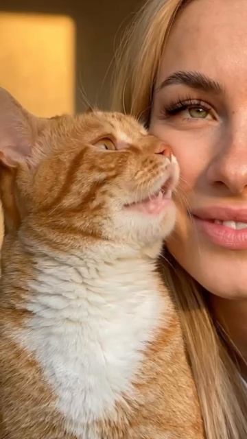 «Кошачий поцелуй»