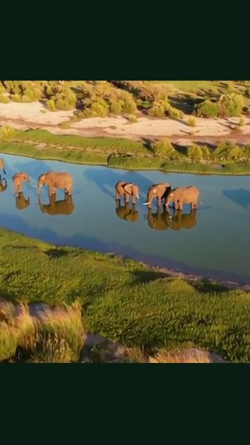 нравится любовь мотивация позитив