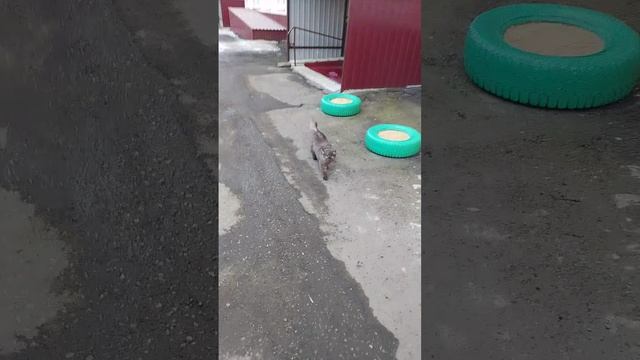 67 в комменты пишите