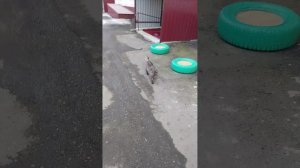 67 в комменты пишите