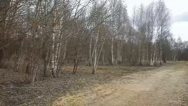 деревня Шиколово КН 50:18:0080308:1186