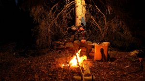 2 ночи под ёлкой. Хариус на поплавок. Проверил избу.