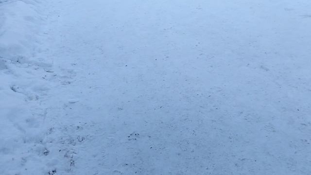 165.mp4 прогулка прогулка