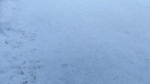 165.mp4 прогулка прогулка