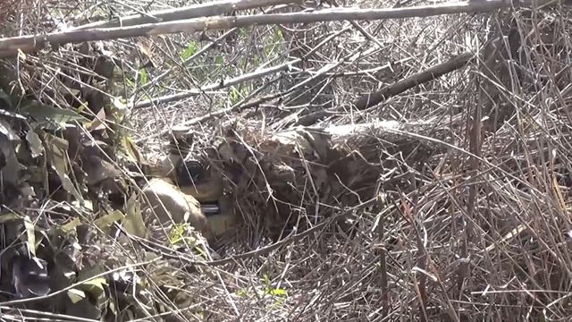 Подготовка снайперов