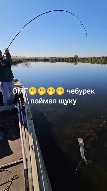 смотрите чë нашëл