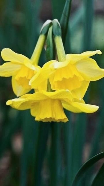 Мой новый фильм 