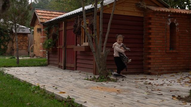 Kənd Həyatı. TREBUXA  Деревенская кухня из простых ингредиентов