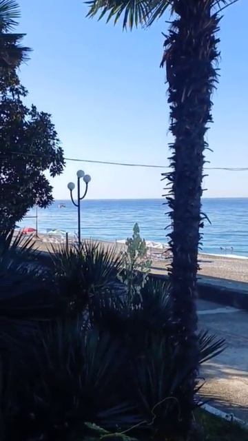 Отель «Пандора» Гагра Абхазия - вид с балкона пансионата #Пандора #пансионат #Абхазия #Гагра #отель