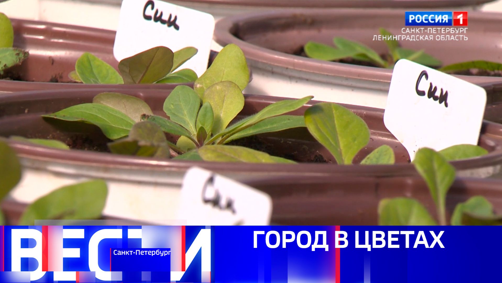 Вести Санкт-Петербург. Выпуск 21.10 от 24.04.2026