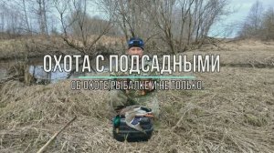 Охота с подсадными.