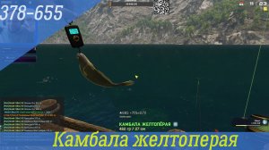 ✅Fisher Online ✅ Норвегия🍯Камбала Желтоперая