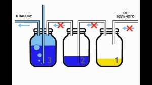 Video by Ветеринарный Центр «ОТВЕТ»