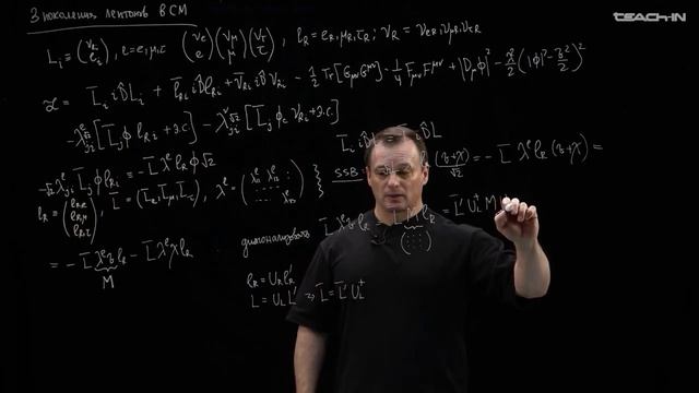 Лекция 2.14 Взаимодействия Стандартной модели  Стандартная модель  Наумов Д.В.