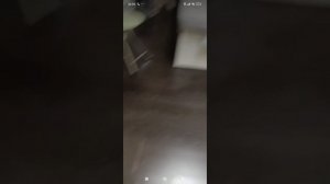 мой друг показывает своё лицо и себя самого (часть 1)