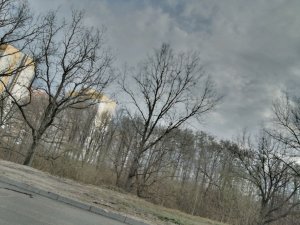 3 попытка я иду со школы домой