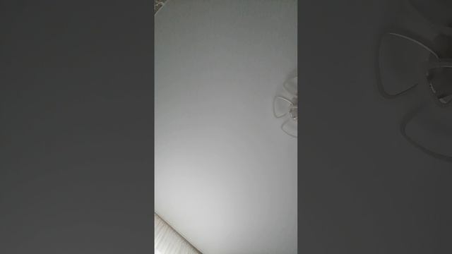 24 часа в коробке макс м