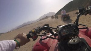 2. Египет. Сафари.