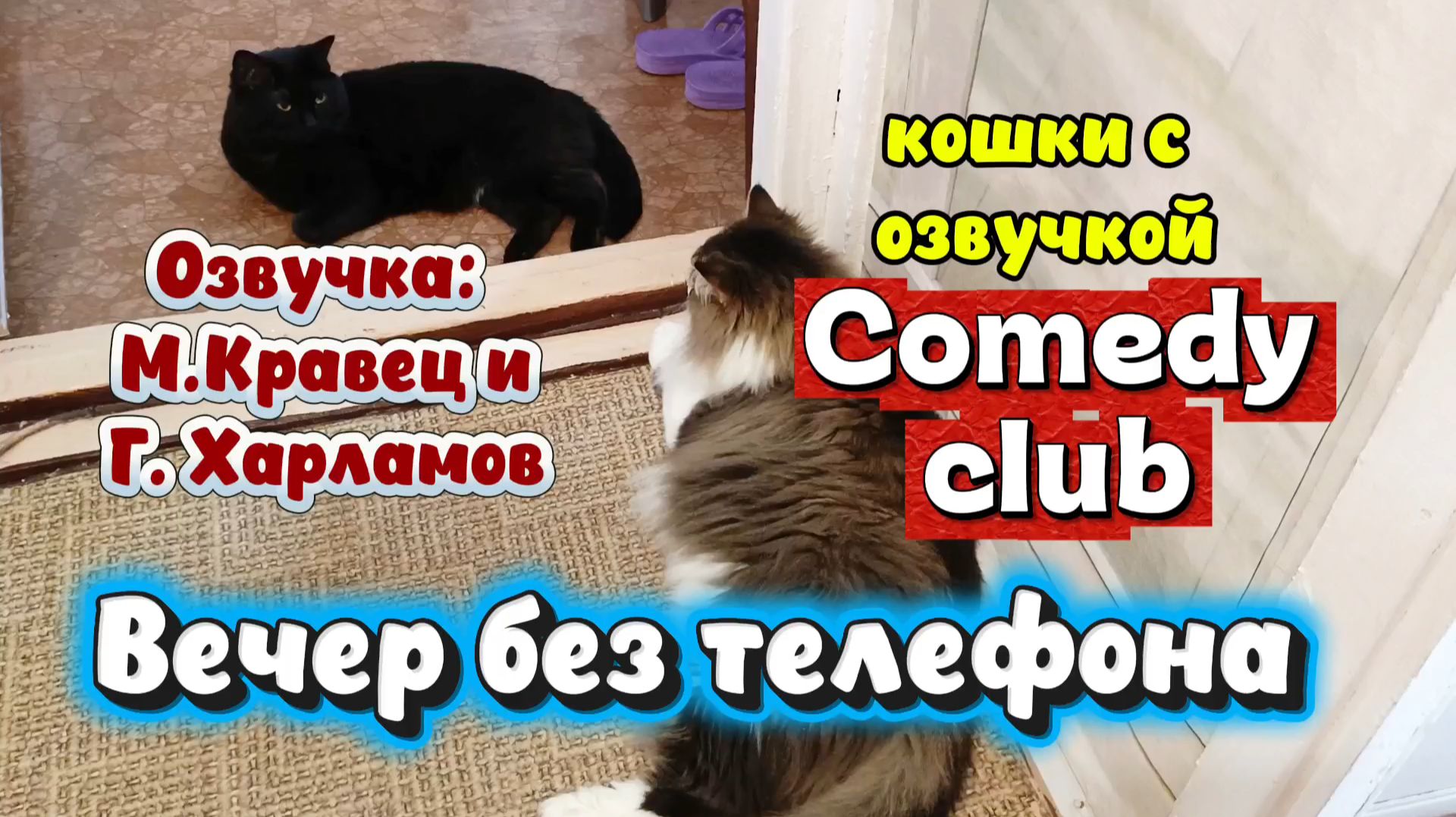 ВЕЧЕР БЕЗ ТЕЛЕФОНА. Озвучка кошек из Comedy Club Марина Кравец и Гарик Харламов
