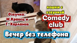 ВЕЧЕР БЕЗ ТЕЛЕФОНА. Озвучка кошек из Comedy Club Марина Кравец и Гарик Харламов
