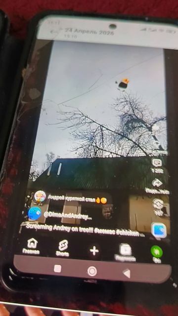 1 сентября))))