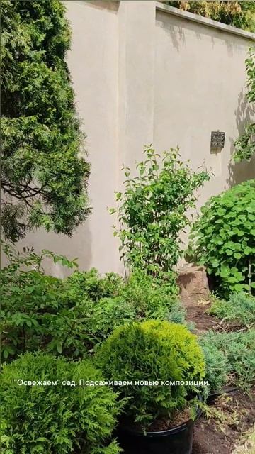 Озеленение. Ландшафтный дизайн | Анна Мер