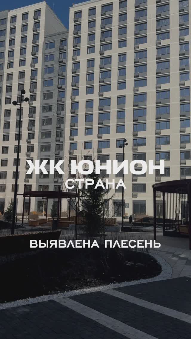 Плесень