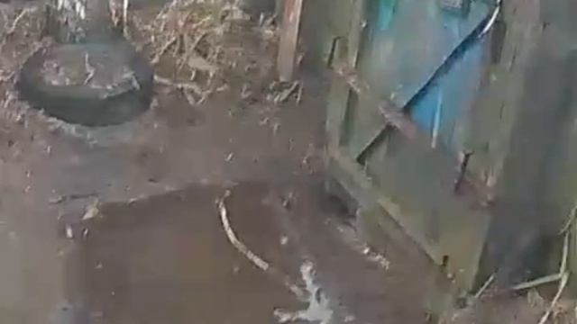 Дождливое утро.