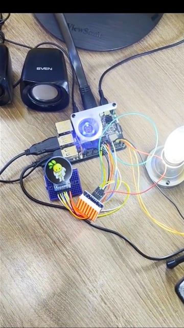 Голосовой ассистент на базе Repka Pi