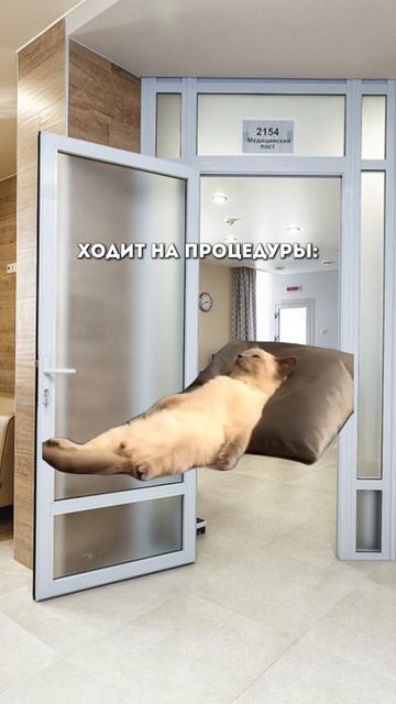 Польза отдыха в санатории  отдыхвроссии