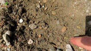 Косовое Золото! У золотоносного ручья!