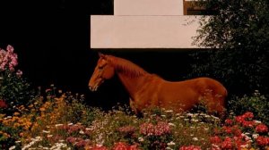 Нарушаю свои традиции. Давно хотела почитать Тихий Дон М.Шолохова.гл1 начало.