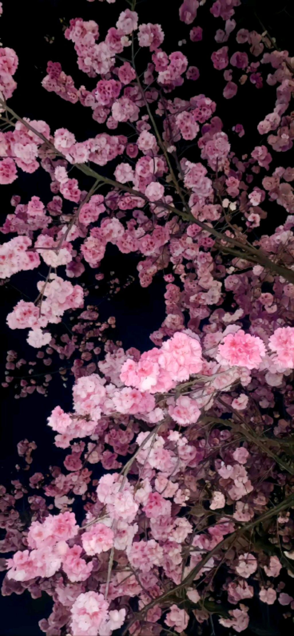 приветик 💕