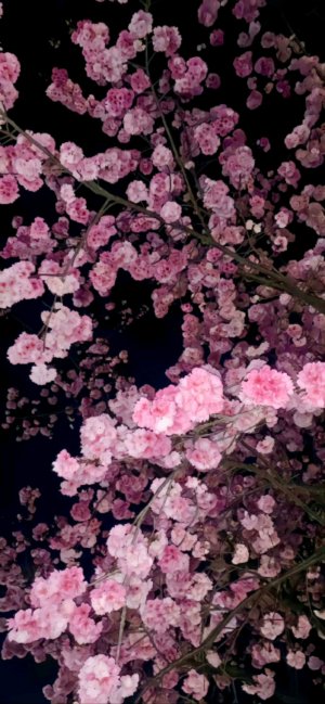 приветик 💕