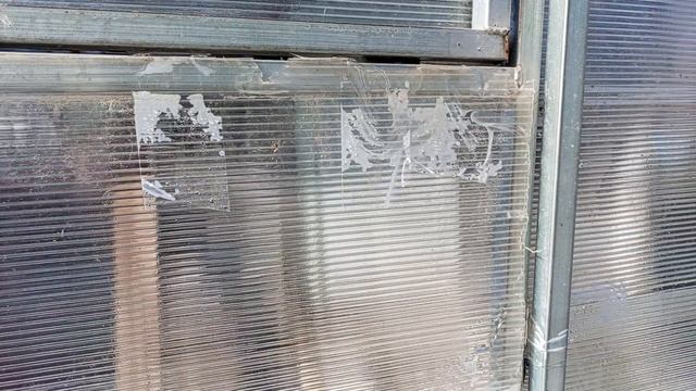 ПОСАДКА ПОМИДОР В ТЕПЛИЦУ 22 АПРЕЛЯ 2026 Г.