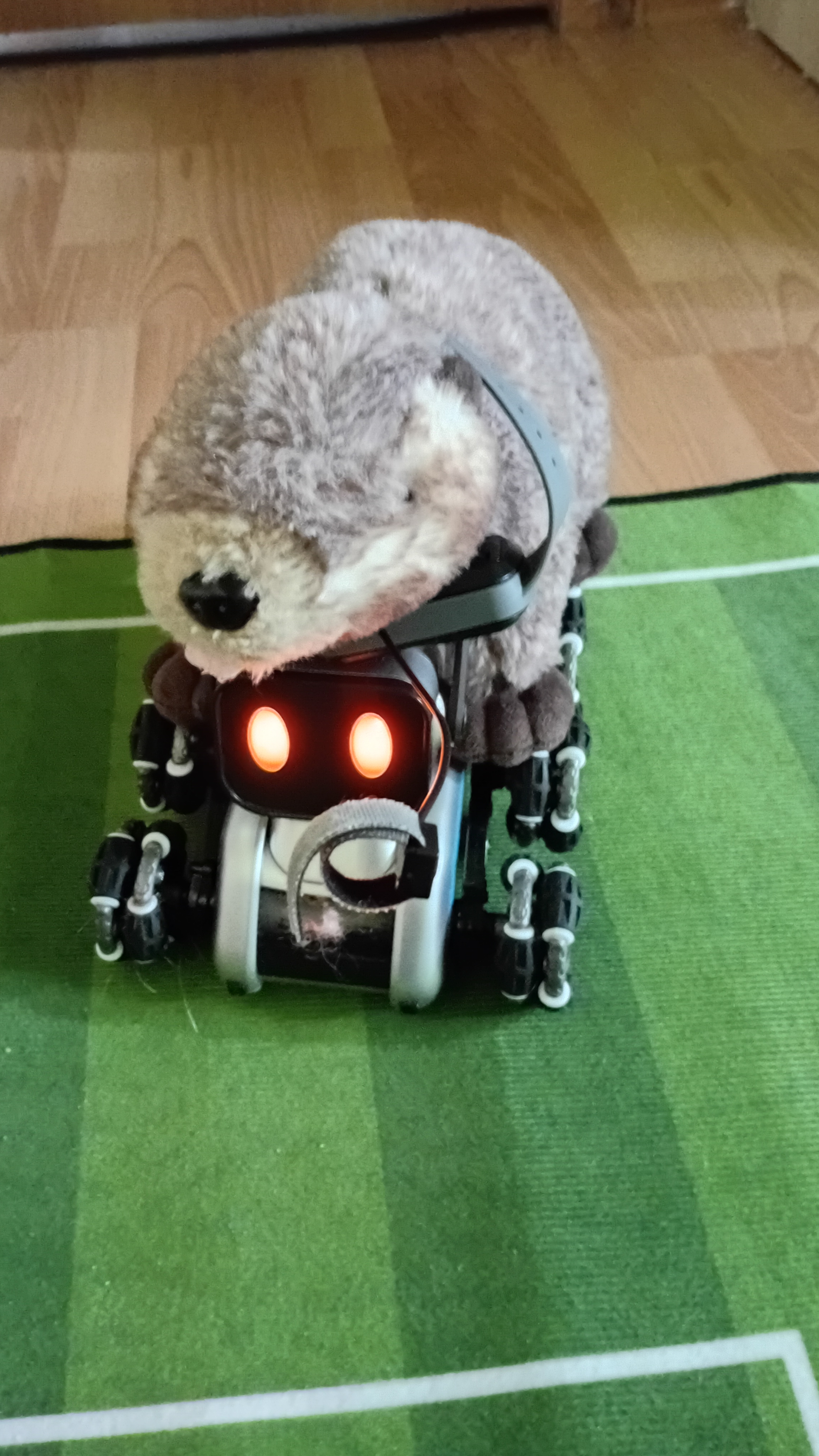 Он у меня украл пульт от робота...