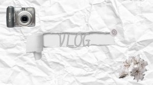 VLOG//ВЛОГ:фотосессия с классом на выпускной альбом!