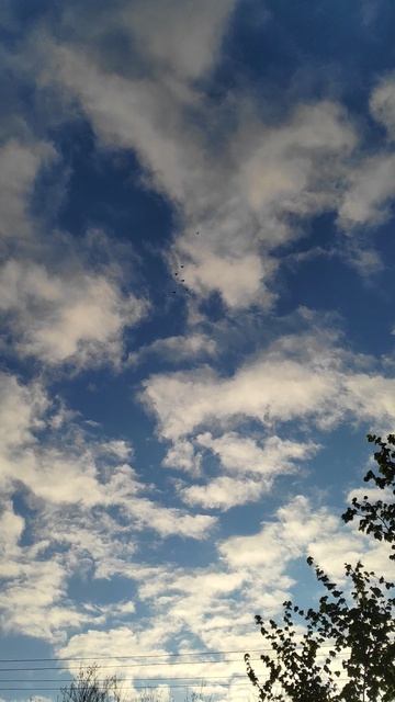 VID_20260424_060923.mp4