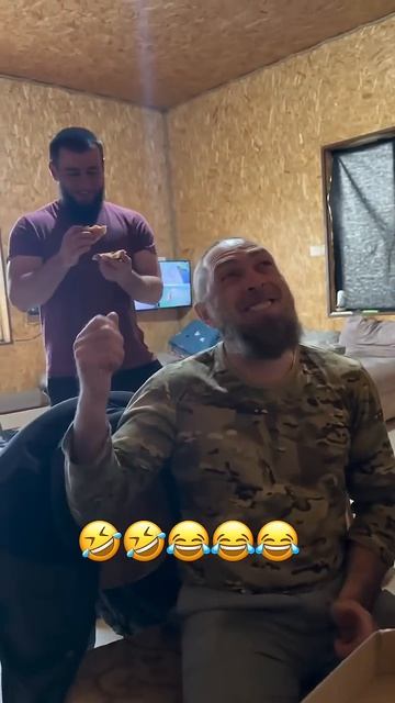 Командировка Понравилась  #юмор #горы #сад #прикол #эльбрус #равнины #ёлки #туи #саженцы #смех