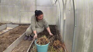 ОДНА на даче/ дела ОГОРОДНЫЕ ч1