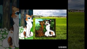 Видео об моей ОС. Ура!