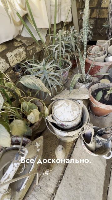 Наша поездка в Дагестан. Наводнение в Мамедкале